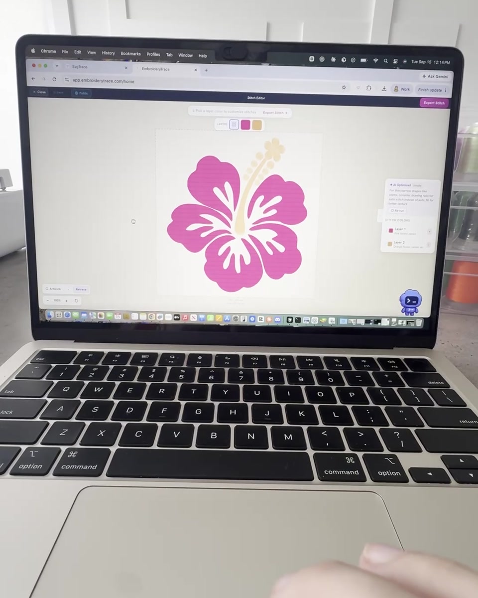 The pink and yellow hibiscus open in the Trace editor on a laptop.